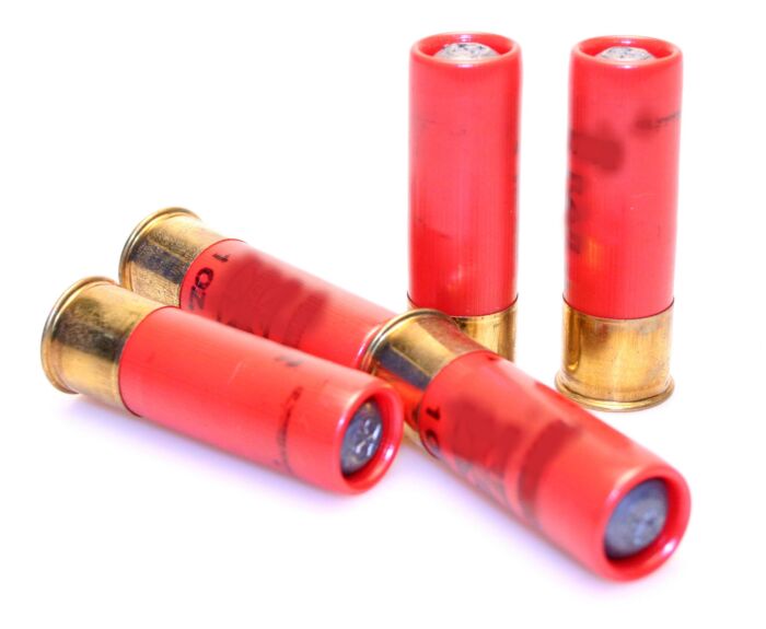 12 Gauge Shell