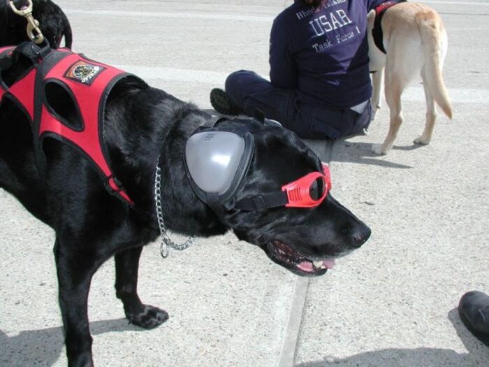 DOG EAR PRO